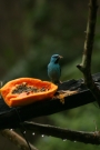 1493 IMG 0243.JPG